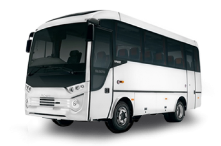 bus bus